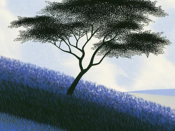 Close-up detail of the Mountain Sun Glow print at full print resolution